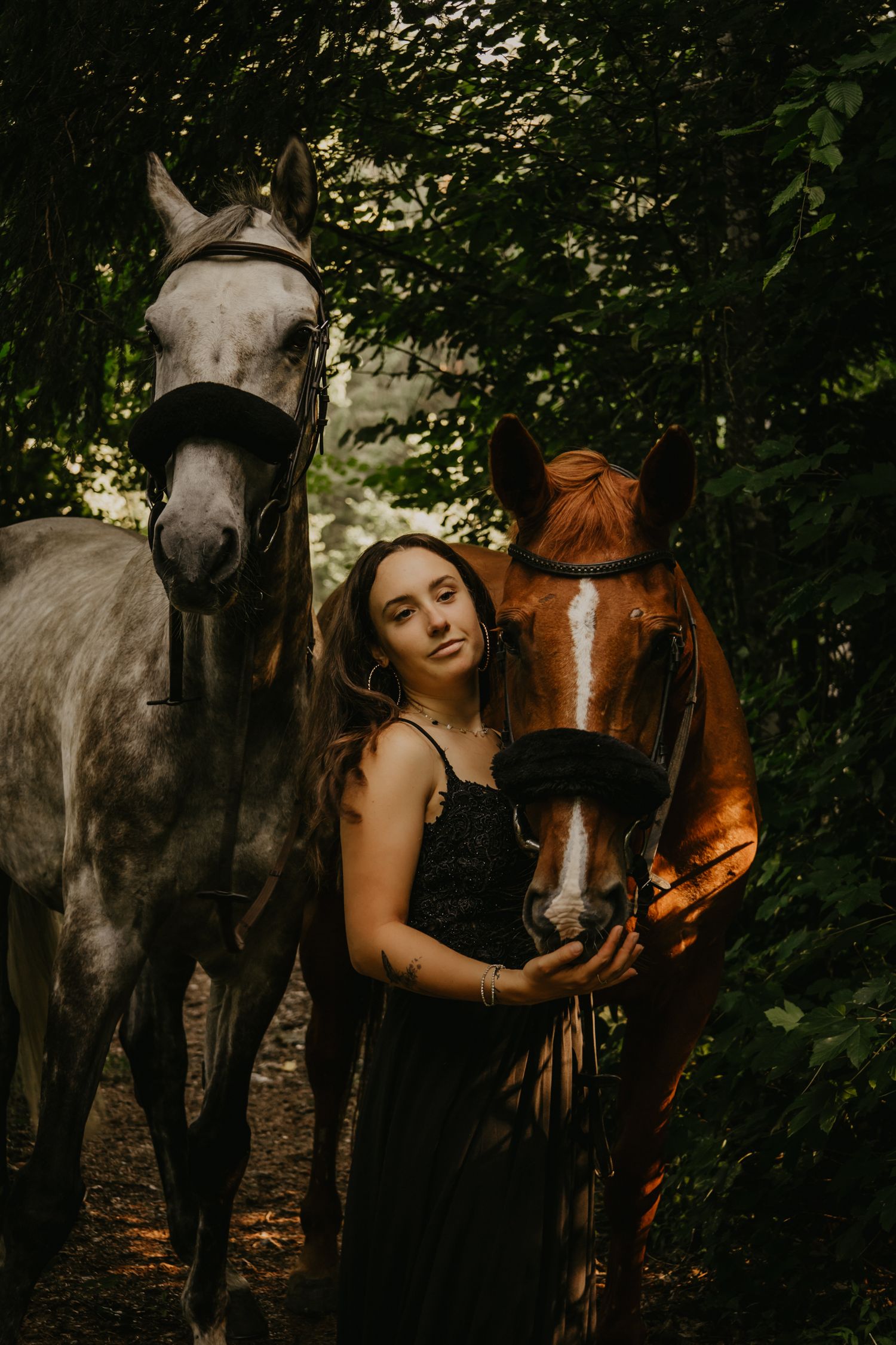 A chestnut and grey horse stand together in a moody forest setting.