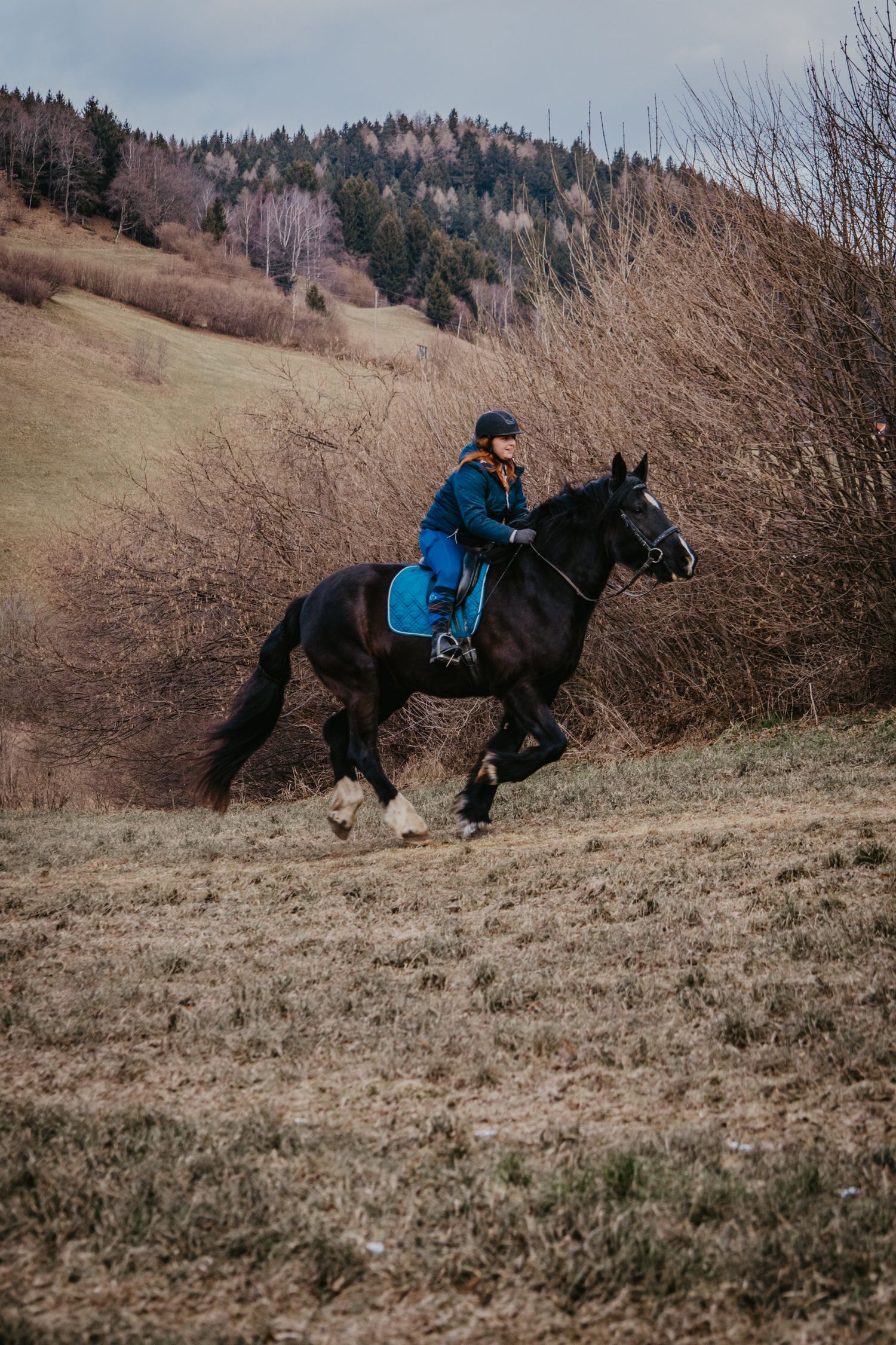 A dark horse and rider navigate a steep hillside trail surrounded by bare winter trees.