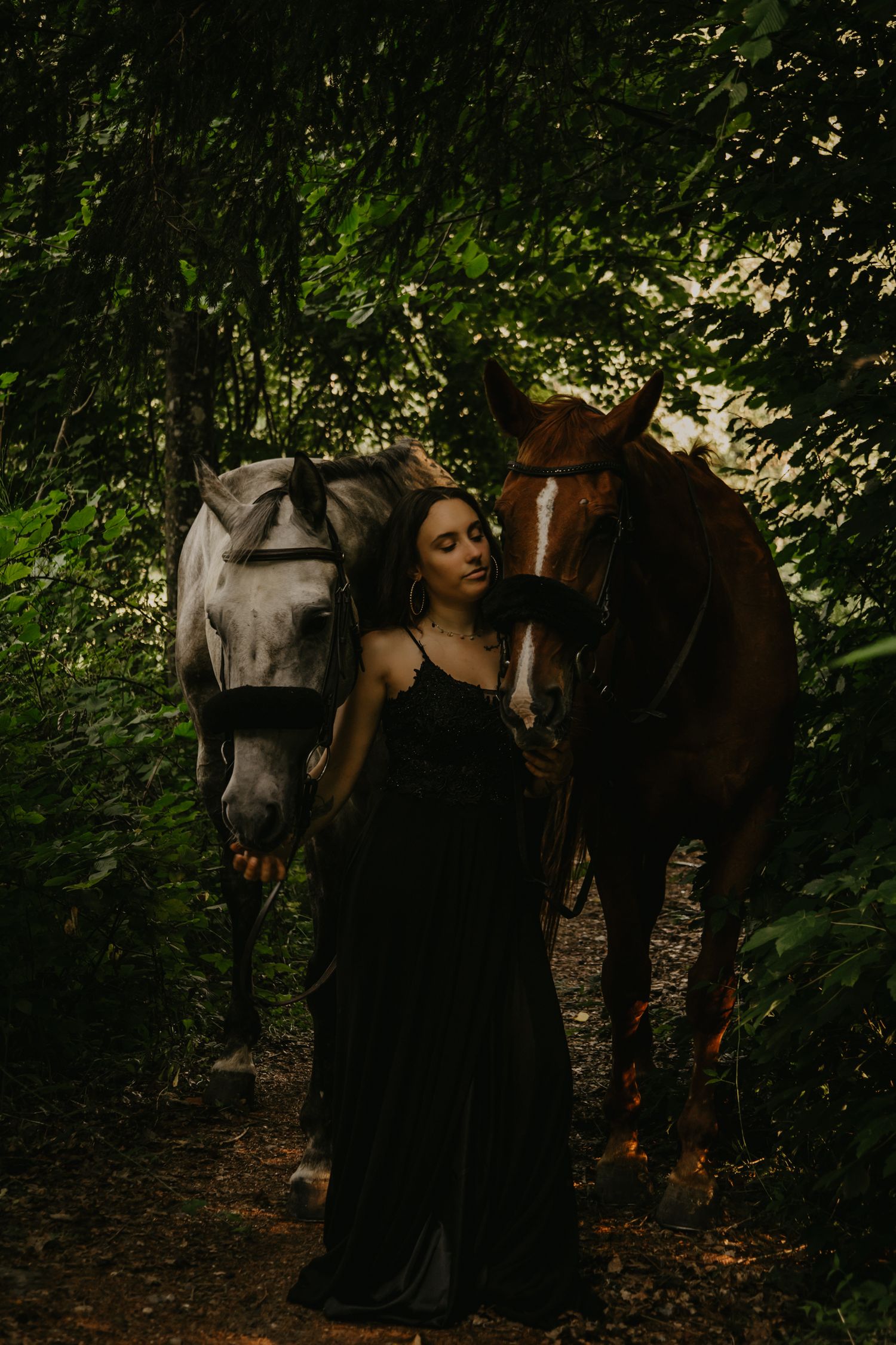 Horses gather in a shaded woodland area during an outdoor photo session.