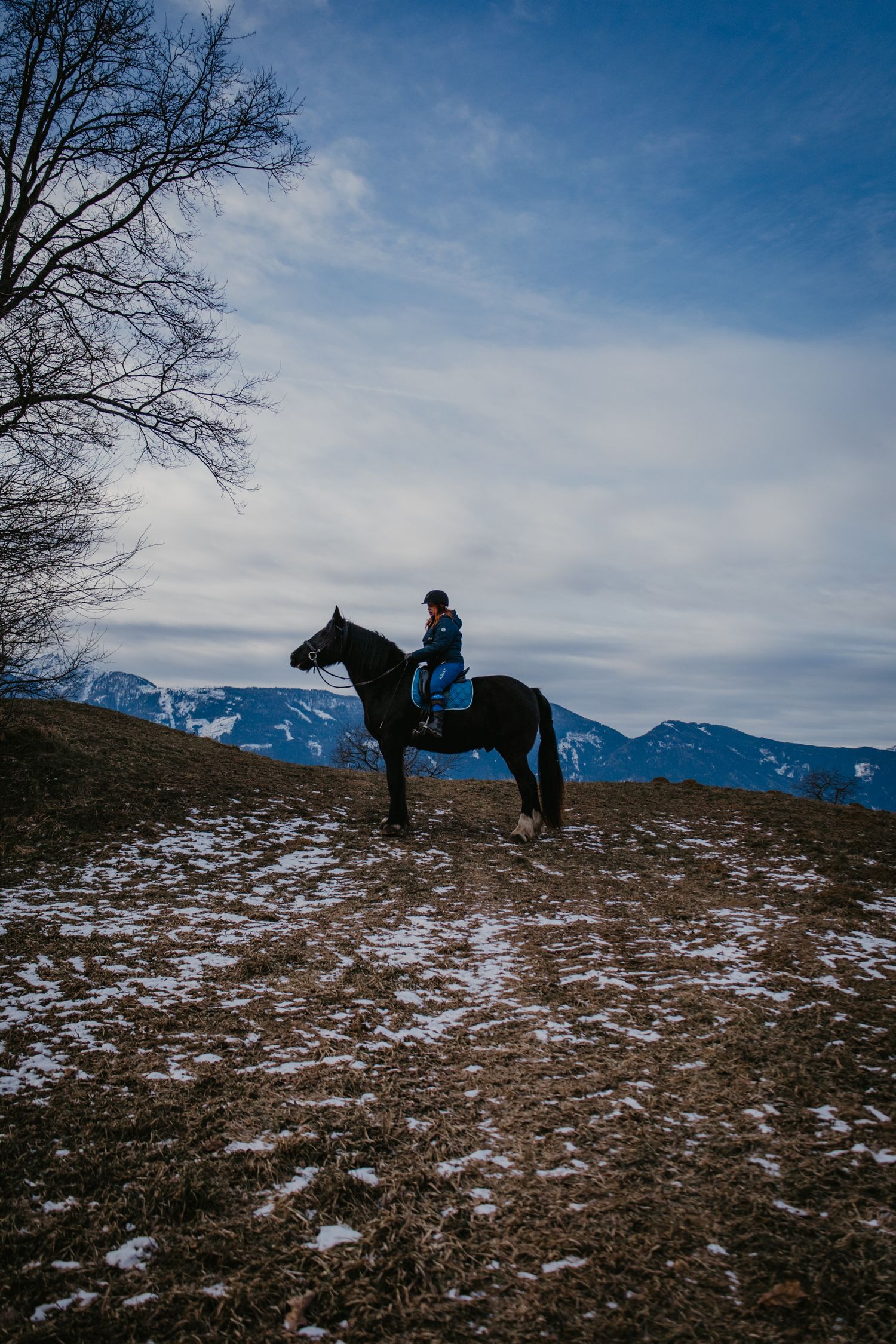 A horse stands silhouetted against a winter mountain landscape with patches of snow on the ground.