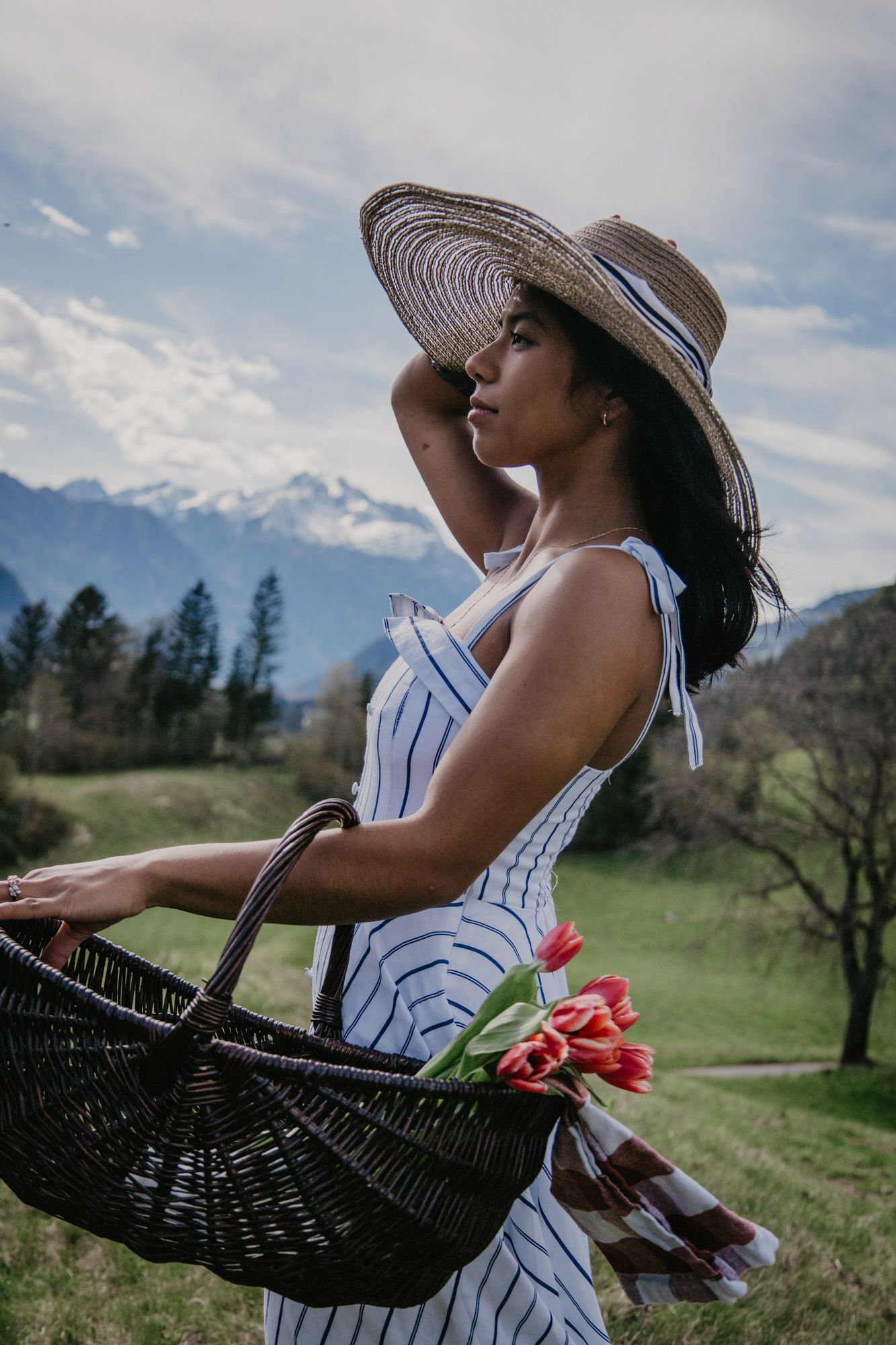 A picnic scene with a wicker basket and red flowers against a mountain landscape backdrop.