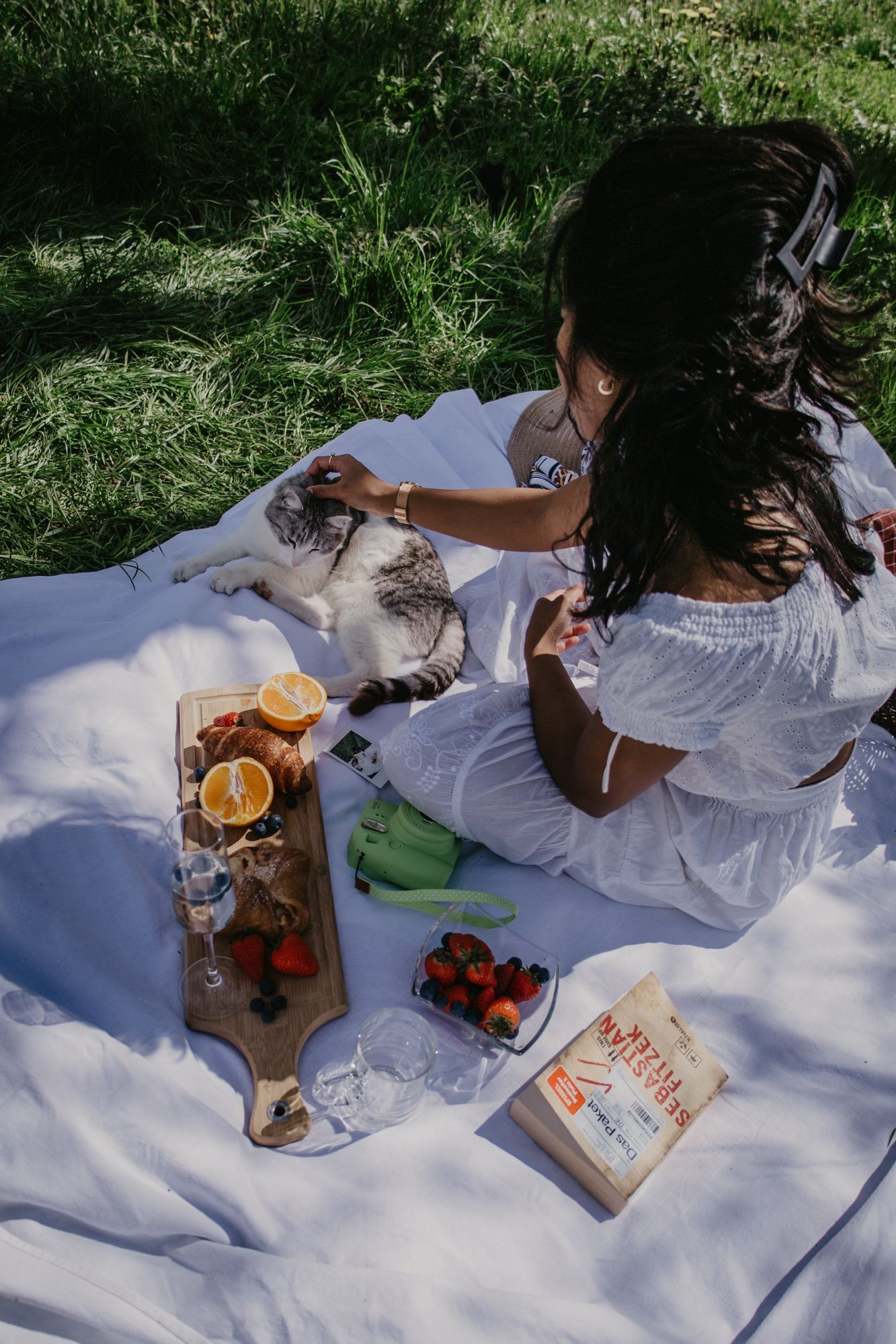 An outdoor picnic spread with books, oranges and berries on a white blanket in nature.