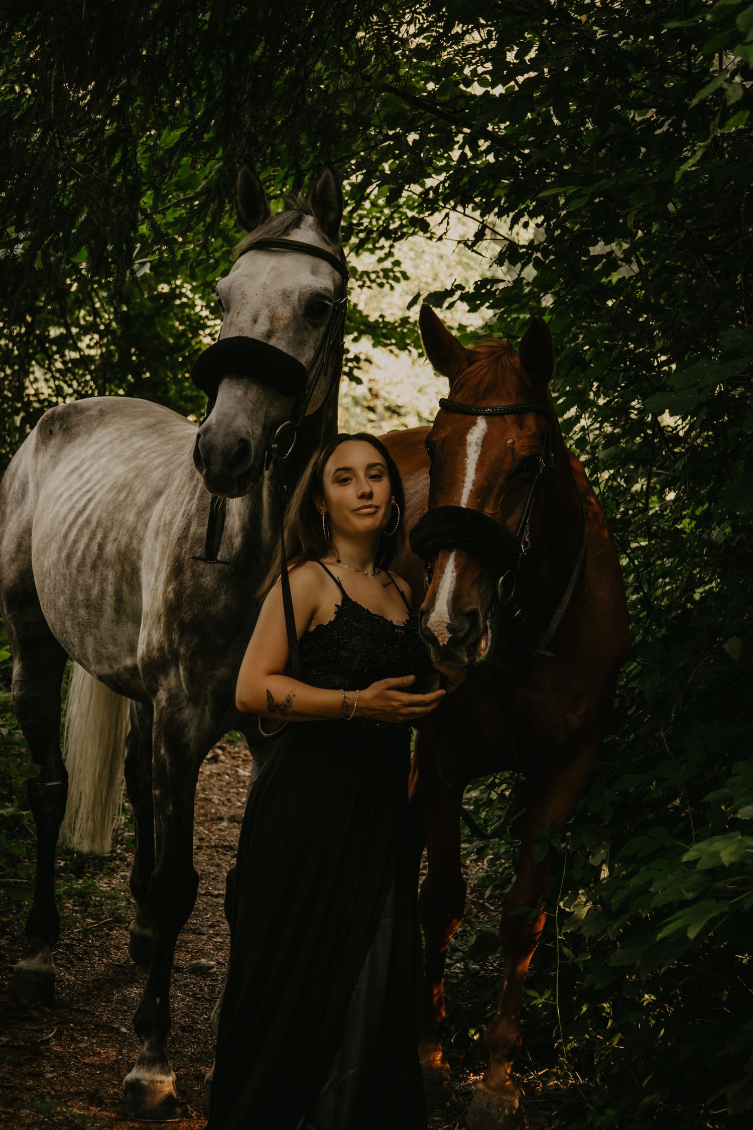 Two horses stand together in a wooded forest clearing during golden hour.