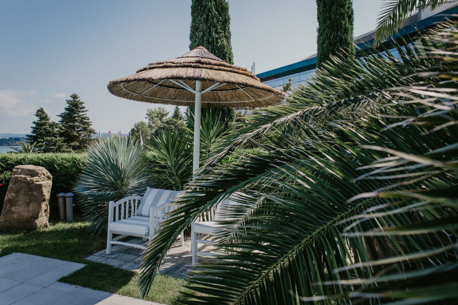 Scenic view of palm trees and cypress trees against a blue sky background.