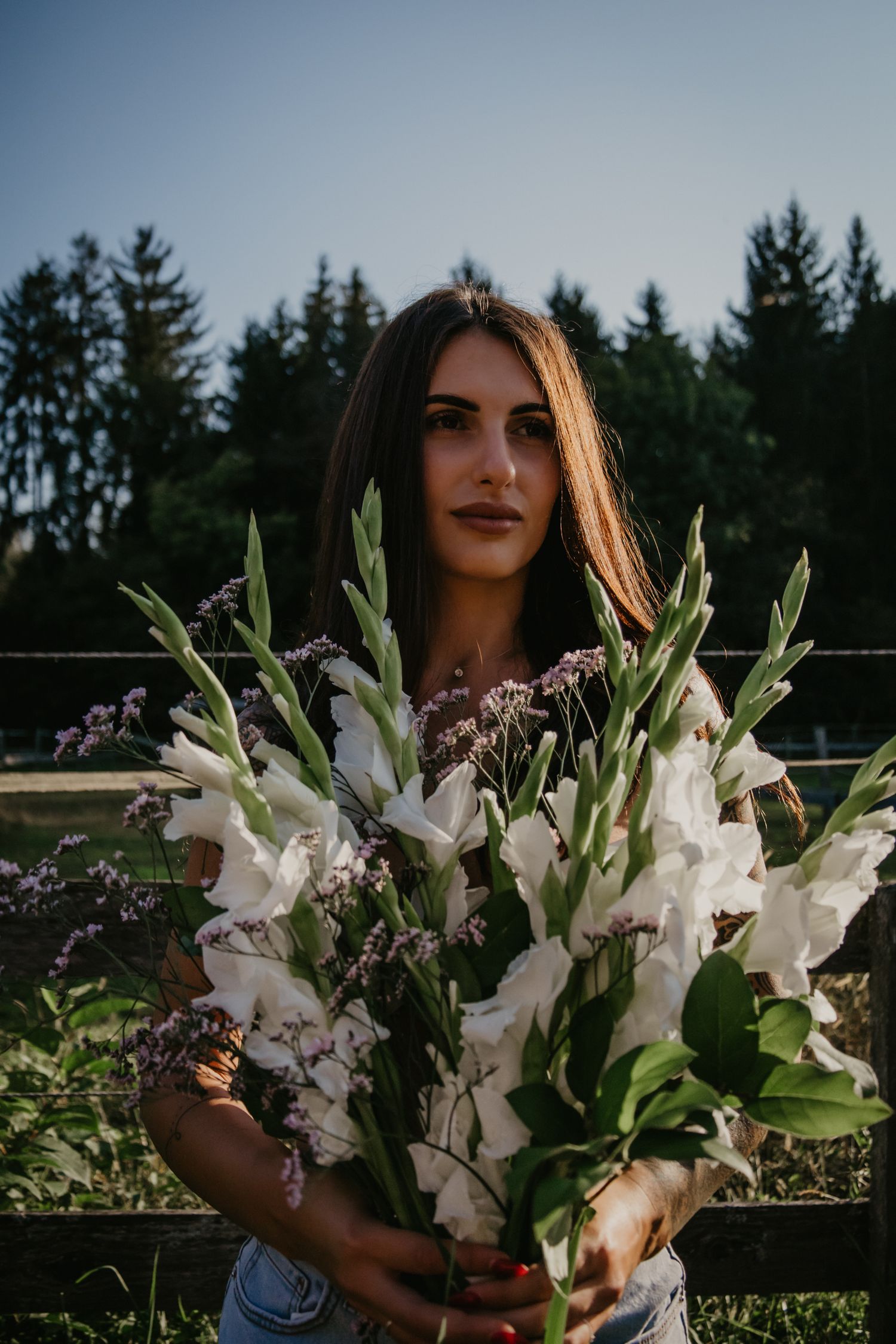 Elegant photo with white gladiolus flowers against rustic fence and evergreen backdrop.