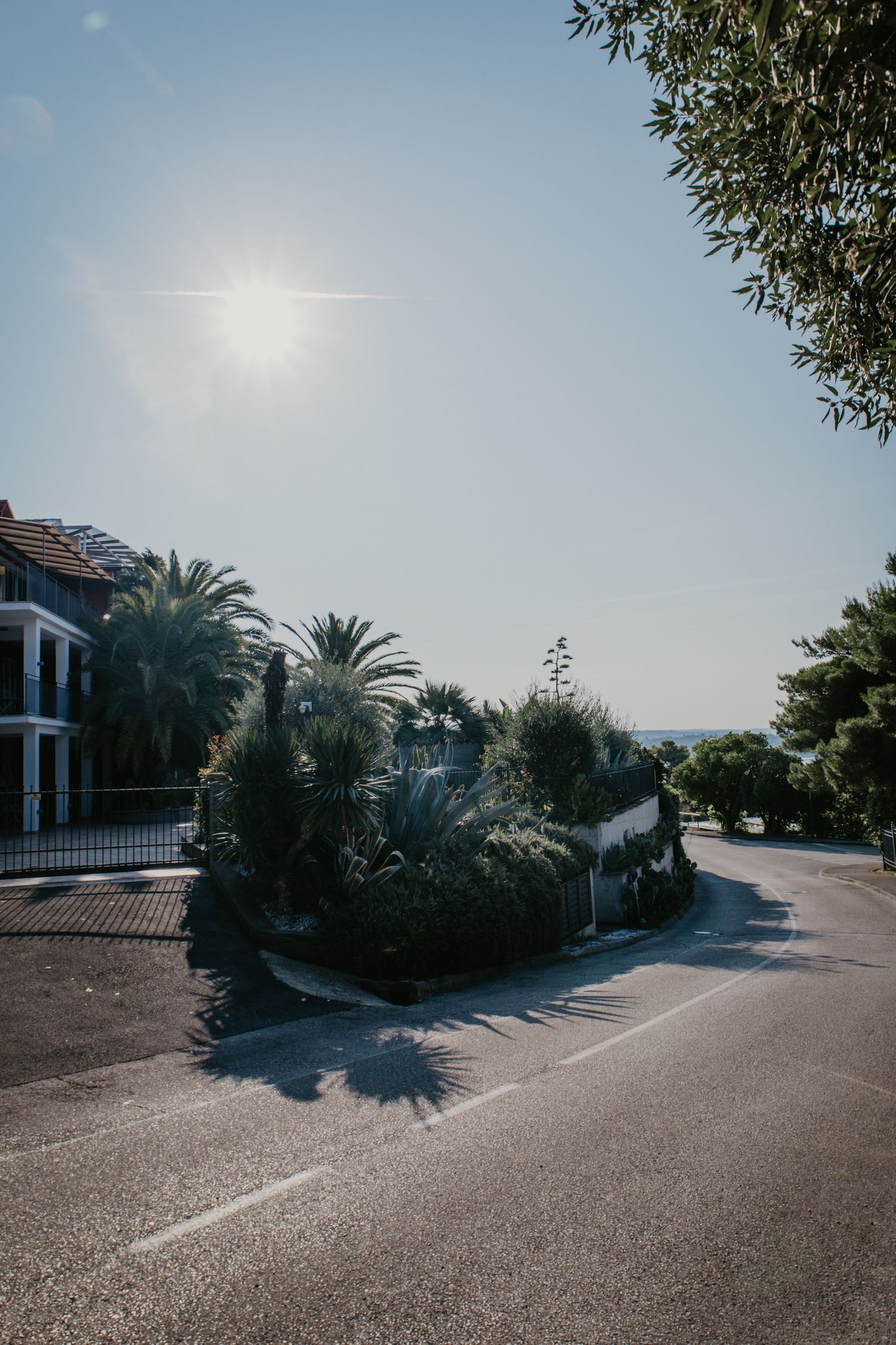 Winding coastal road with palm trees and Mediterranean architecture on a bright sunny day.