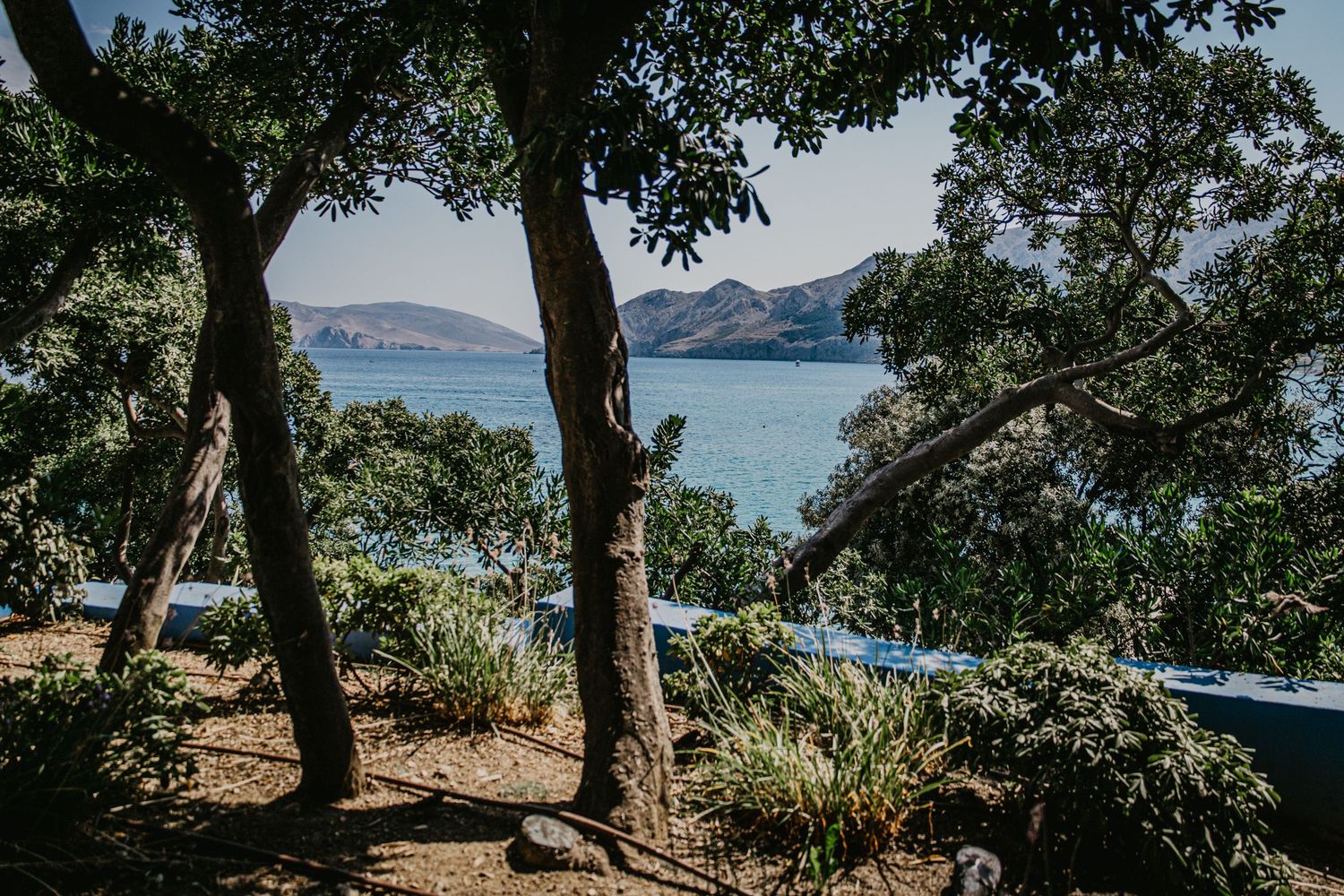 Tree-lined coastal viewpoint overlooking Mediterranean islands and blue sea.