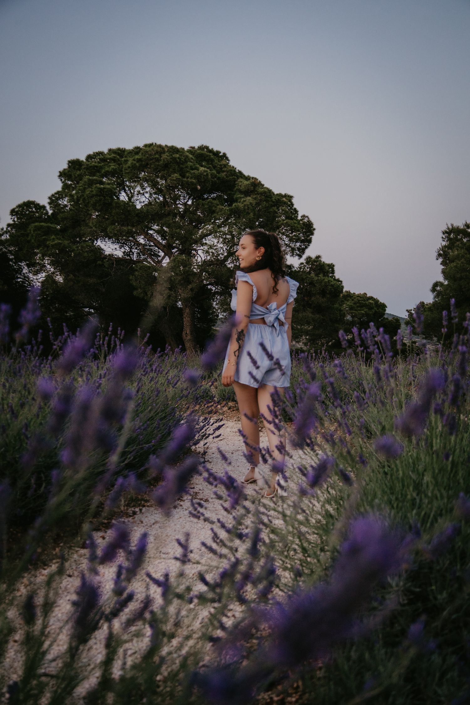 Beautiful lavender field photoshoot at dusk with purple flowers in foreground.