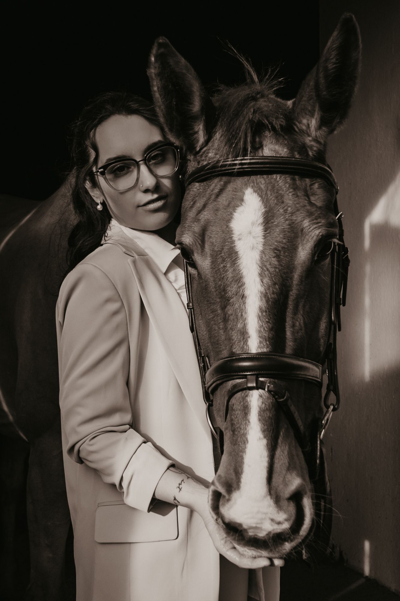A professional portrait with a dark bay horse against a minimalist background.