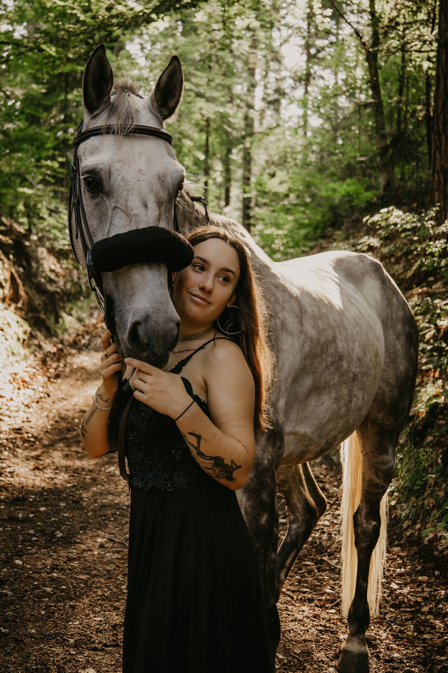 A grey horse with black halter poses in a sunlit forest clearing.