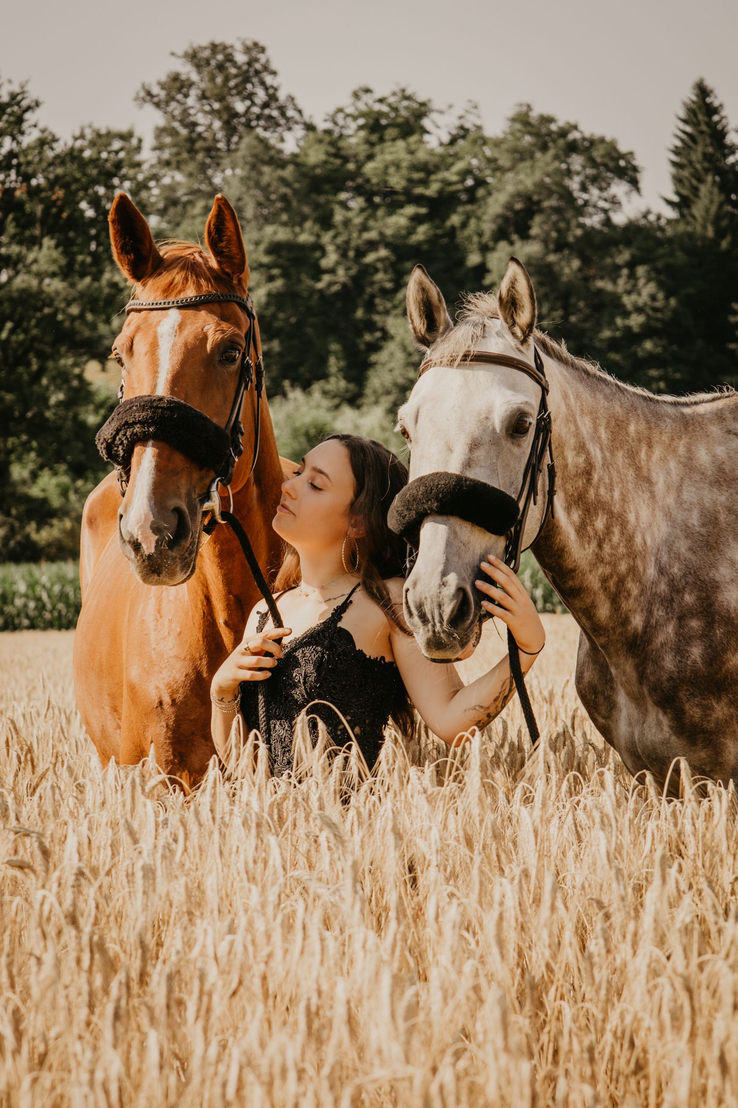 Three horses standing in golden wheat field during sunset with warm lighting.