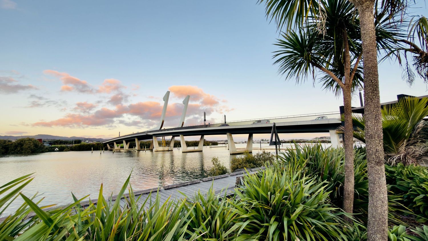 Te Matau a Pohe bridge translated as 'The Fishhook of Pohe' at sunset, framed by lush tropical palms and greenery at Whangarei Marina.