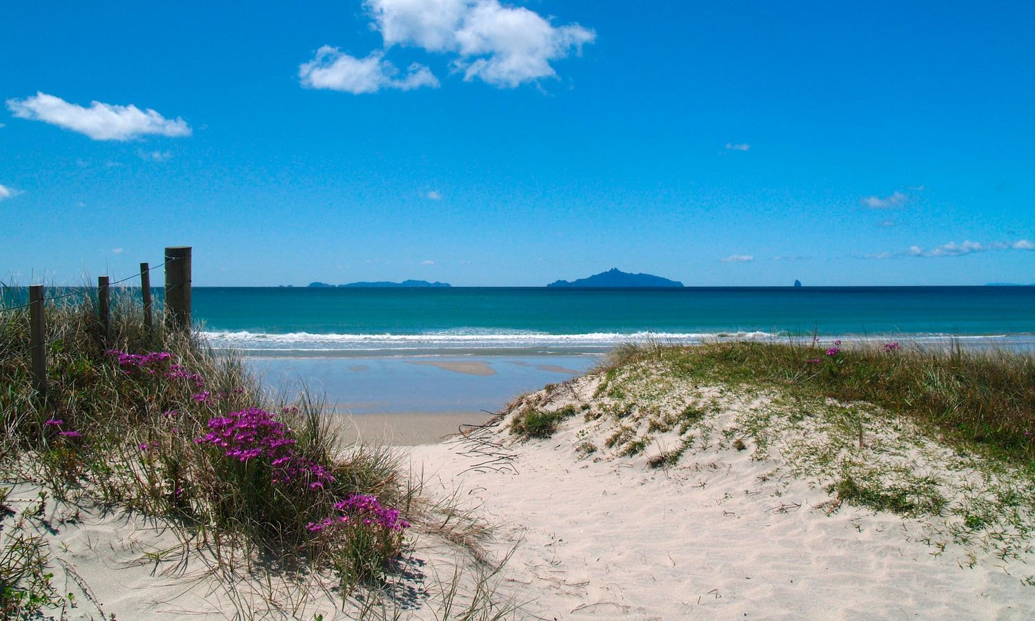 Sandy beach path with pink wildflowers, grass dunes, turquoise ocean, and distant mountains under a bright blue sky.