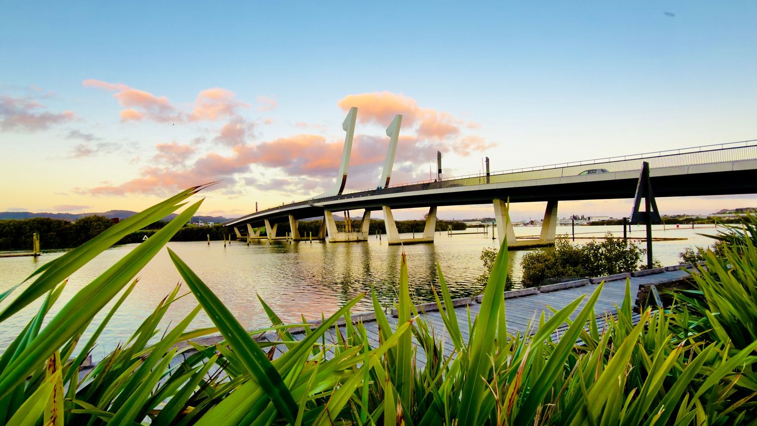 Cable-stayed bridge over calm river at sunset with lush green grass in foreground and colorful clouds in sky.