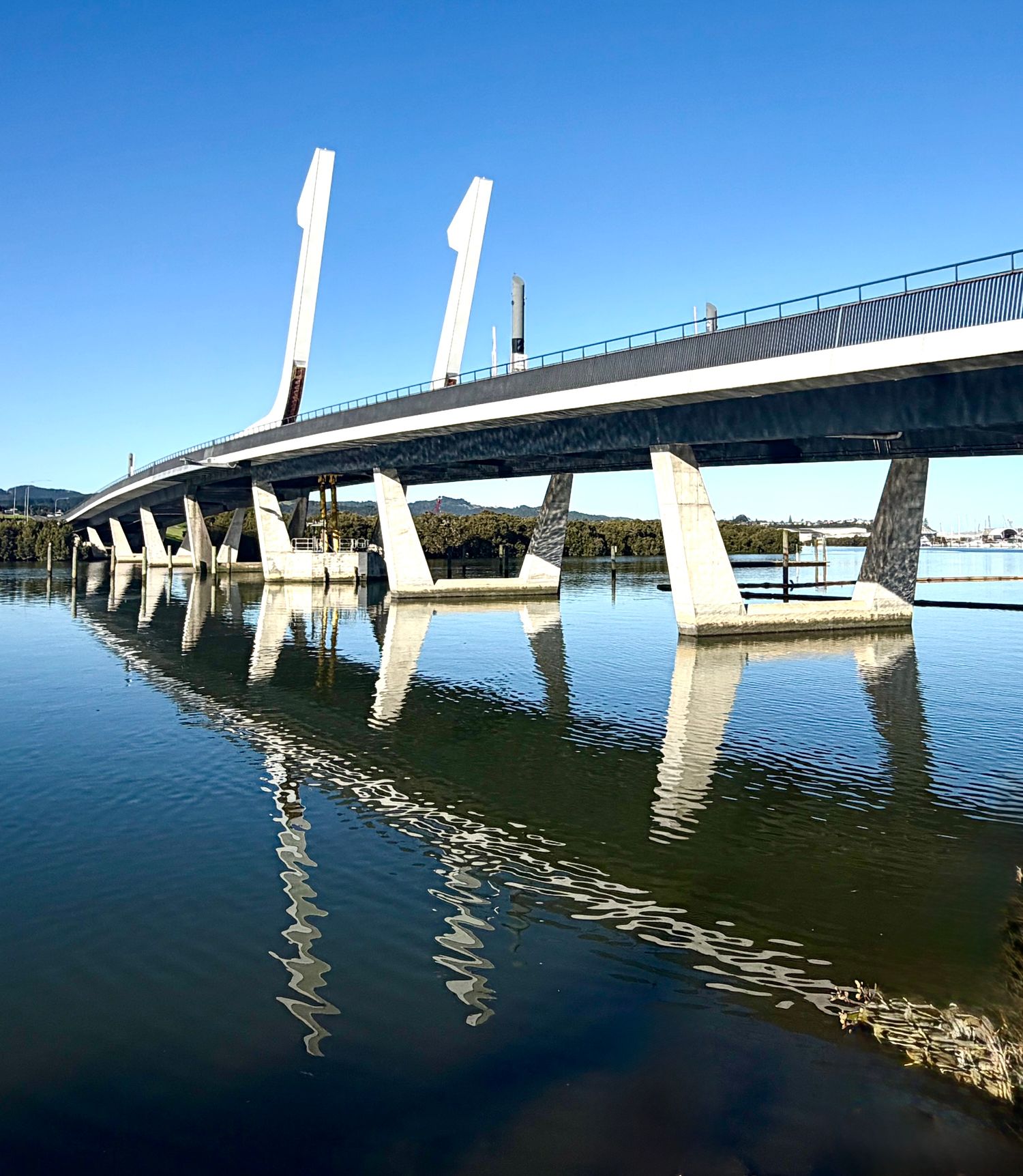 Modern cable-stayed bridge reflecting in calm water on a clear sunny day, with concrete pillars and white pylons.