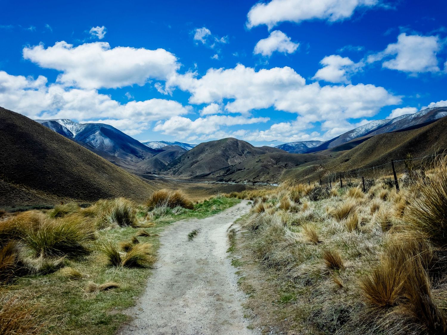 A scenic dirt trail winds through golden tussock grass toward snow-capped mountains under a vivid blue sky with white clouds.