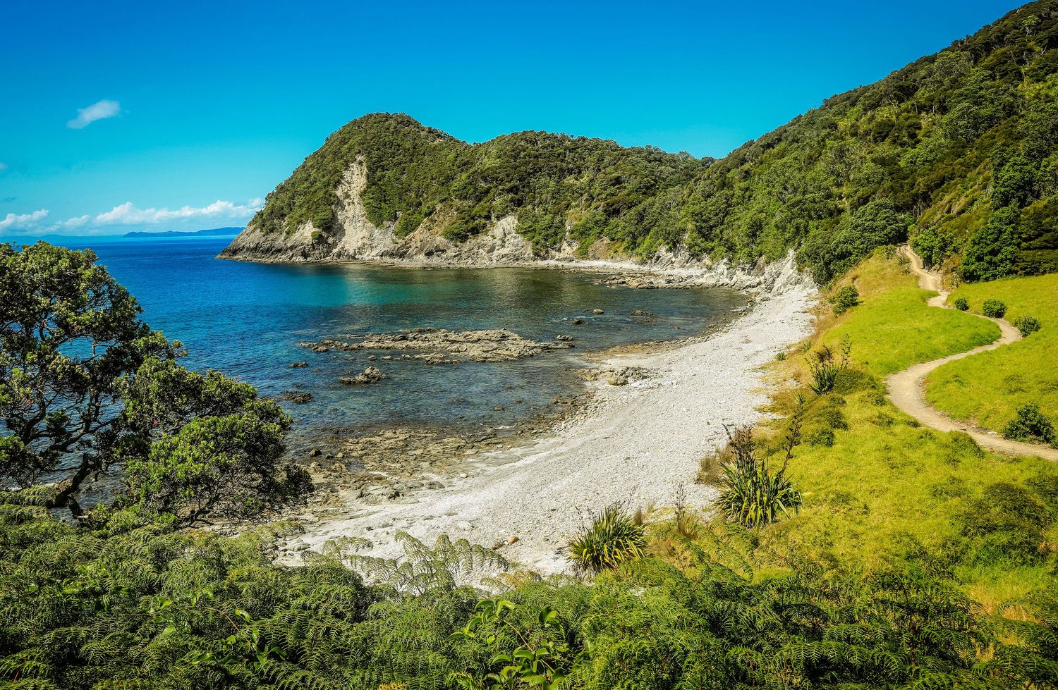 Scenic rocky cove with crystal-clear blue water surrounded by lush green hills and a winding coastal path in New Zealand.