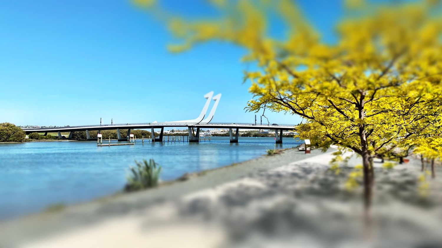 Tilt-shift photo of a modern cable-stayed bridge over a river with yellow trees and clear blue sky.