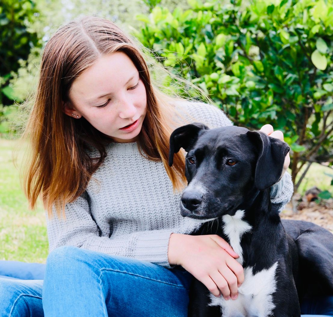 A black and white dog sits outdoors with someone in a grey sweater on a sunny day.