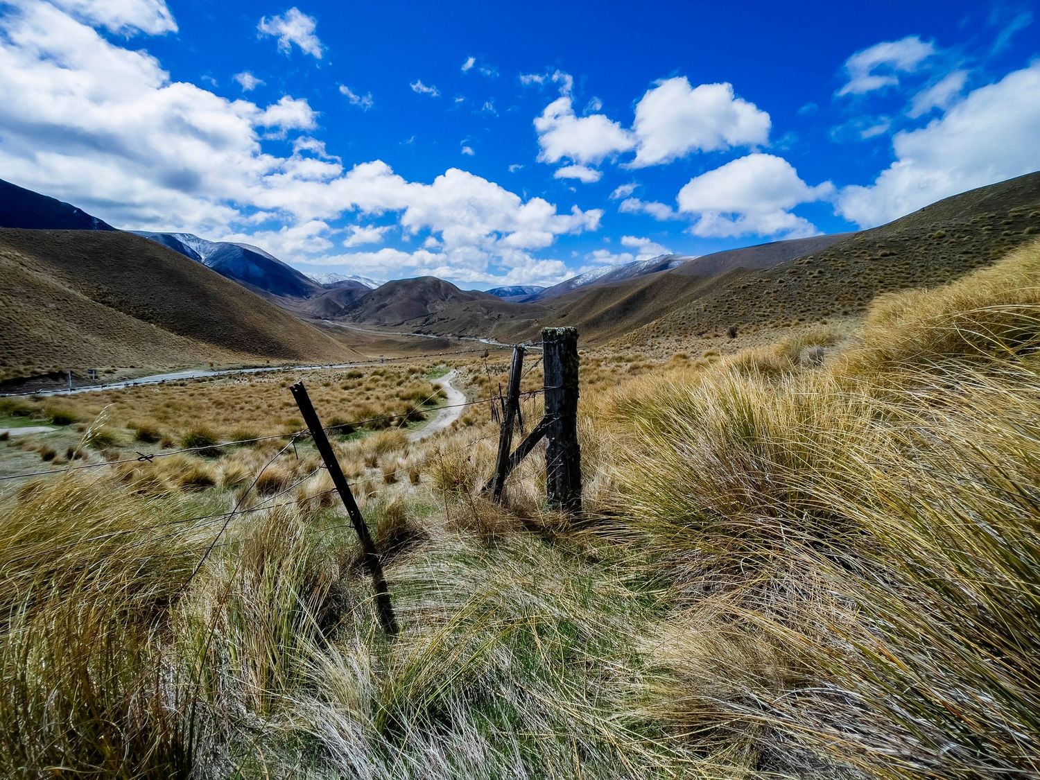 Rustic fence posts amid golden tussock grass in a scenic New Zealand valley with winding path and blue skies.