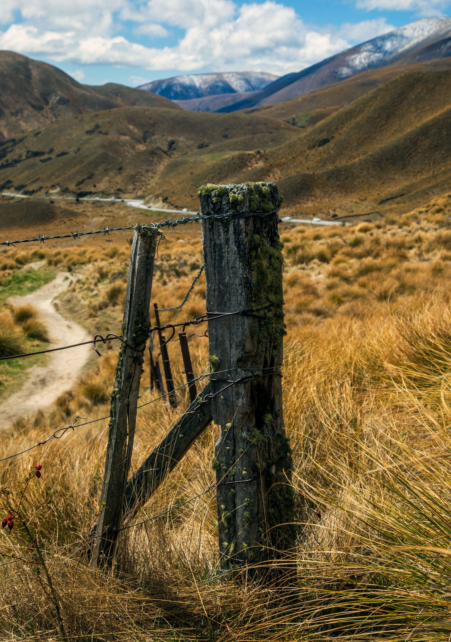 Weathered wooden fence post with barbed wire in golden grasslands, with winding path and snow-capped mountains in background.