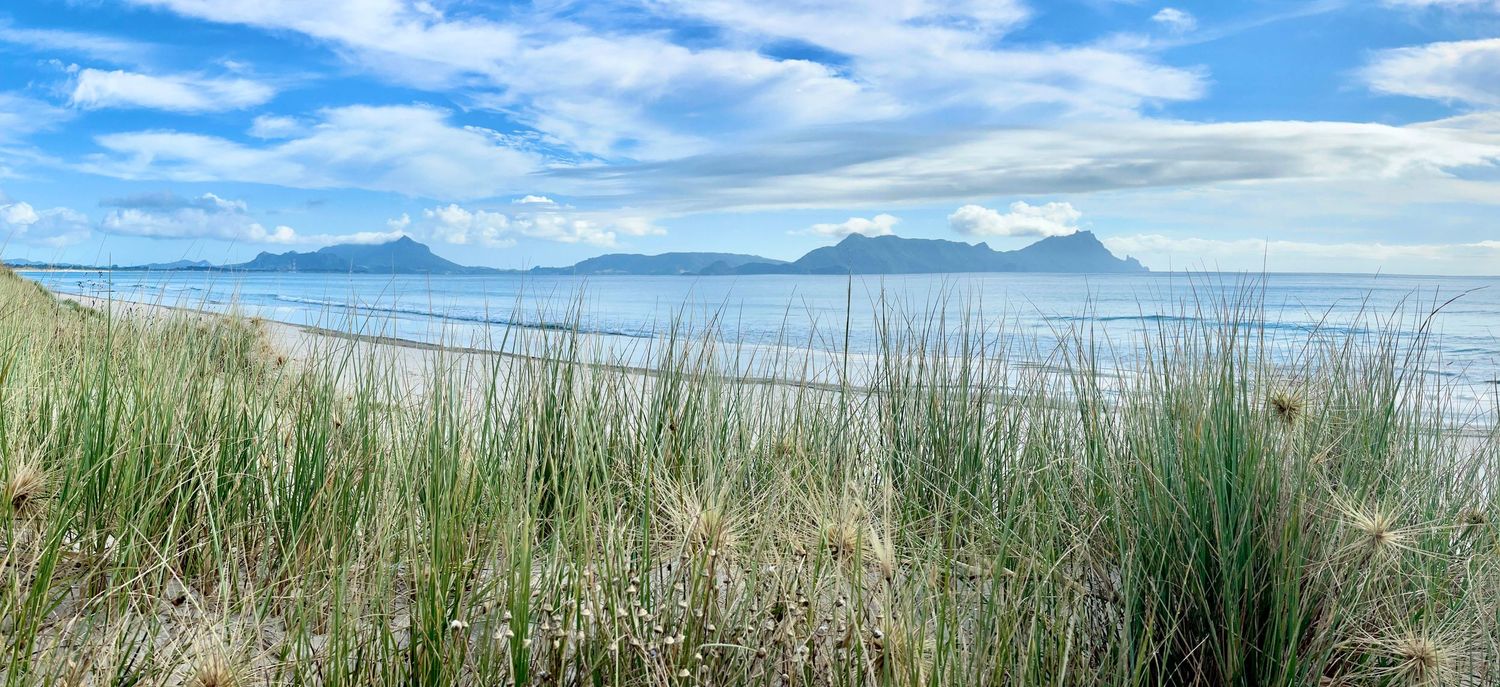 Panoramic beach view with tall grass dunes, calm blue ocean, and distant mountains under a partly cloudy sky.