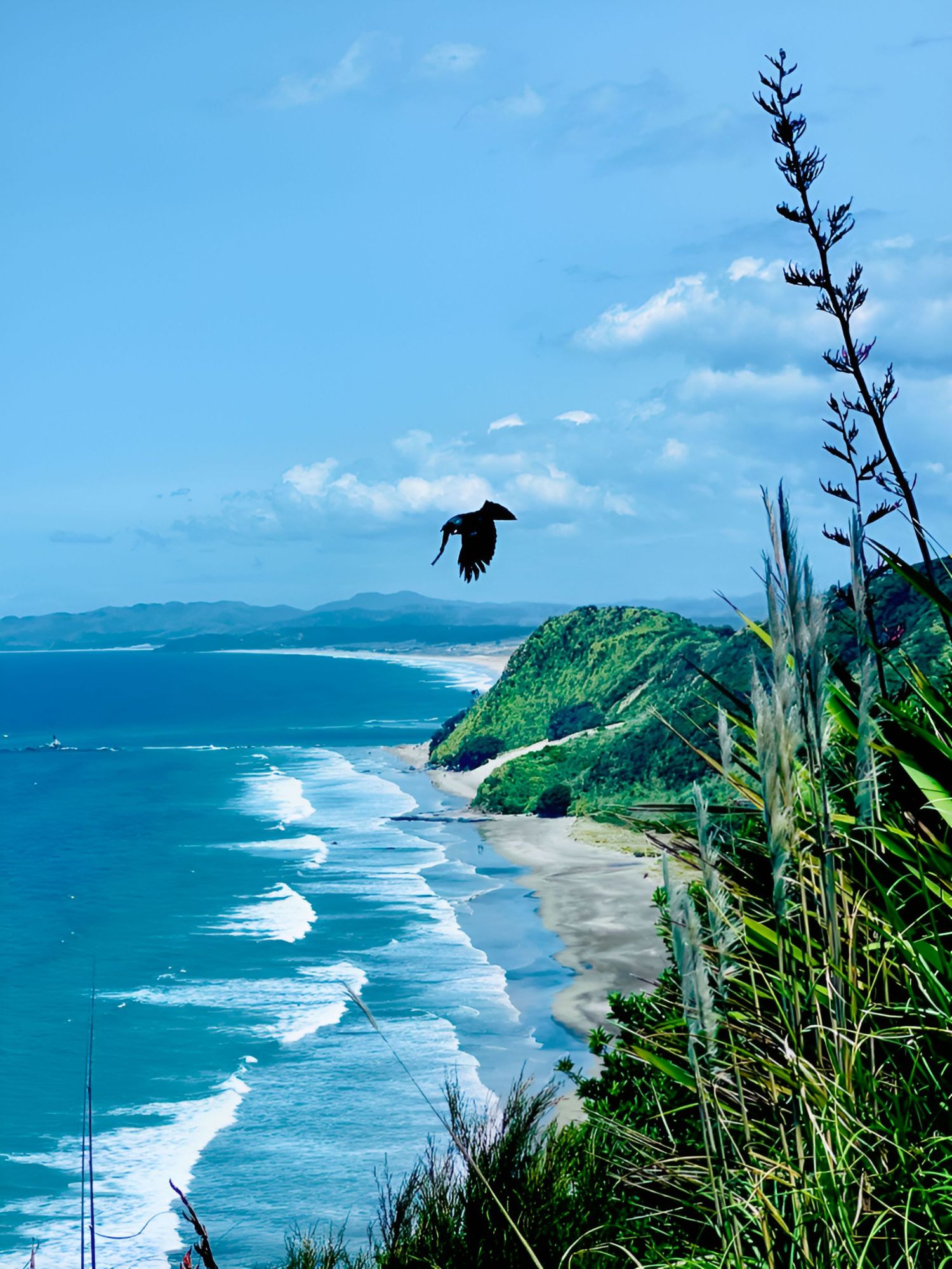 A black bird soars over a stunning coastal landscape with green cliffs, white-capped waves, and turquoise ocean waters.