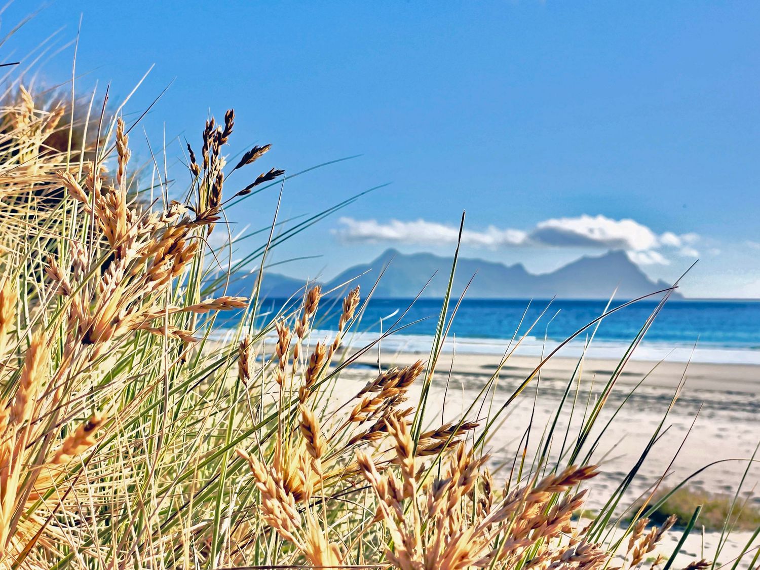 Golden beach grass in foreground with white sandy beach, turquoise sea, and mountain range under clear blue sky.