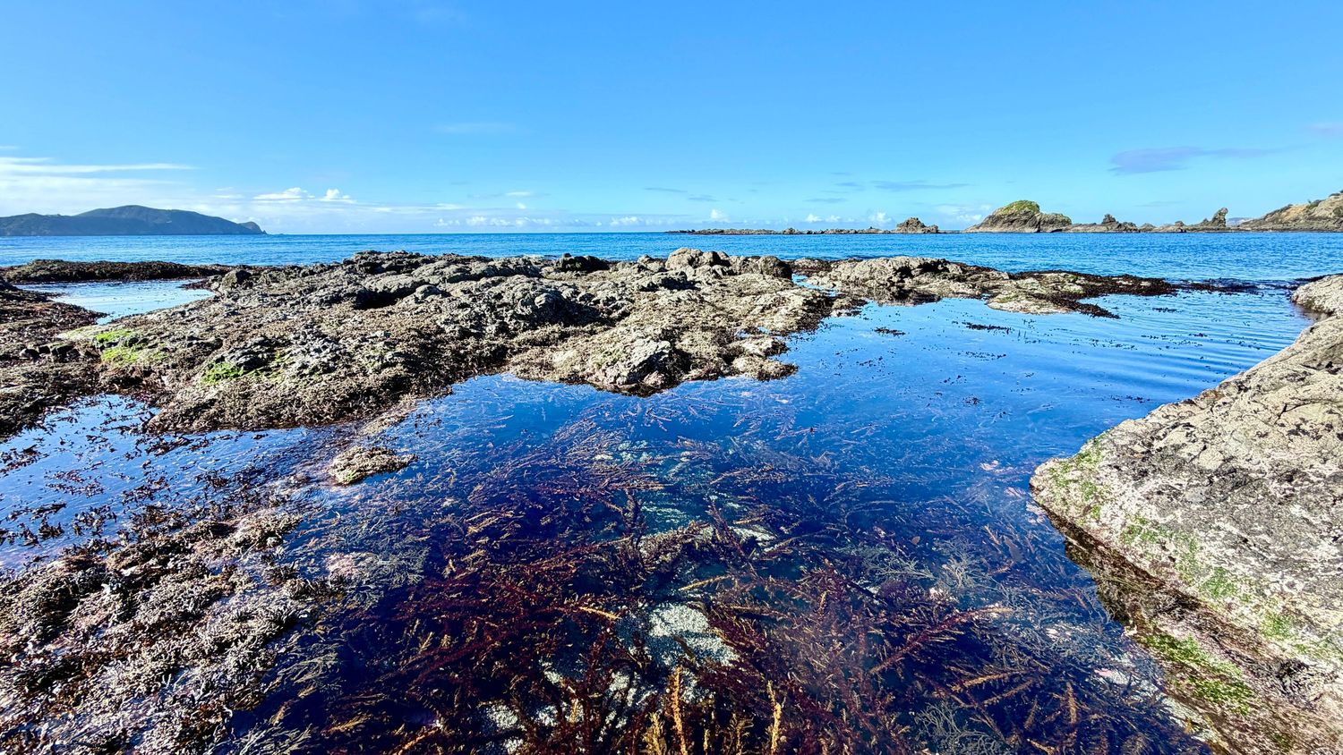 Rocky tidal pools with seaweed along a scenic coastline under a bright blue sky with islands in the distance.