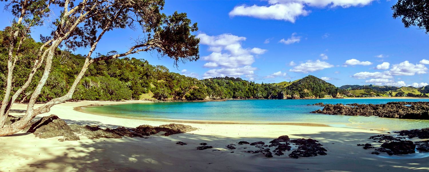 Pristine turquoise bay with white sandy beach, lush green hills, and rocky shores under a bright blue sky in New Zealand.