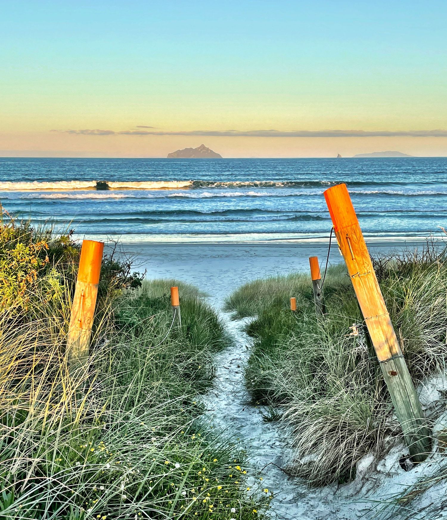 Sandy beach path flanked by orange wooden posts and grass dunes leads to a calm ocean at golden sunset.