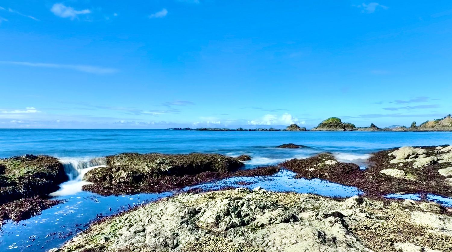 Rocky coastal tide pools with vibrant blue ocean waters and small islands under a clear blue sky at Taupiri Bay, New Zealand.