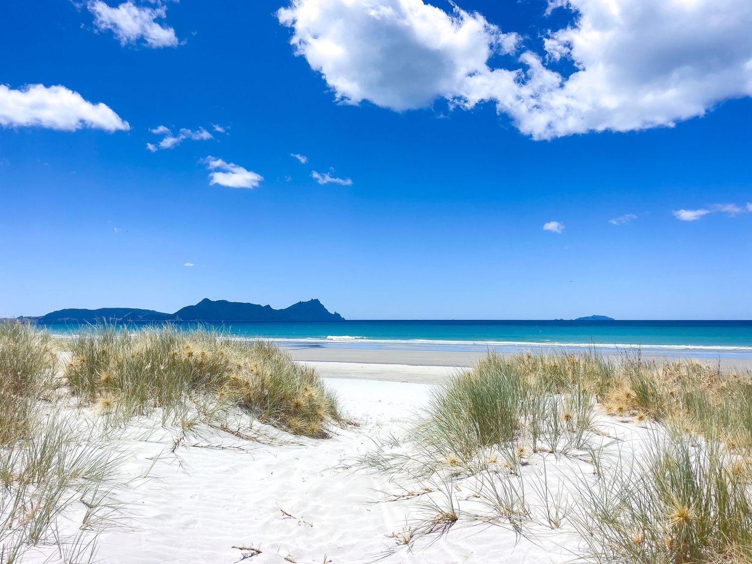 White sand dunes with beach grass lead to turquoise ocean waters under a bright blue sky with fluffy clouds.