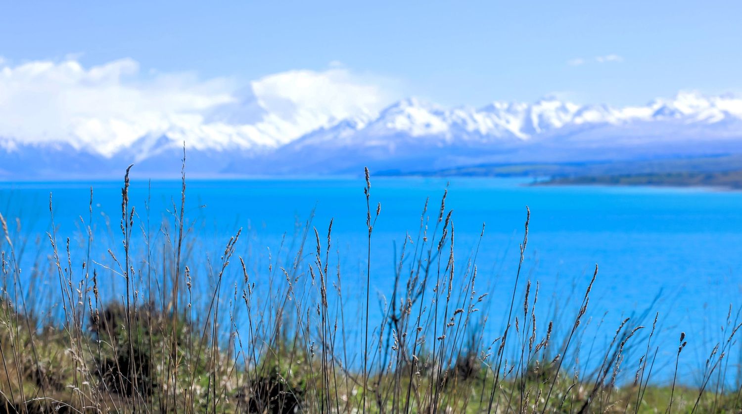 Vivid turquoise lake with snow-capped mountains in the background and wild grasses in the foreground under a clear blue sky.