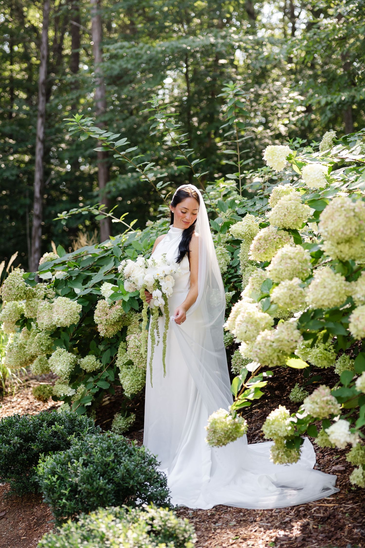 Bride in white gown and veil holds bouquet among blooming white hydrangeas in a lush garden setting. at firefly lane in Dickson, tn