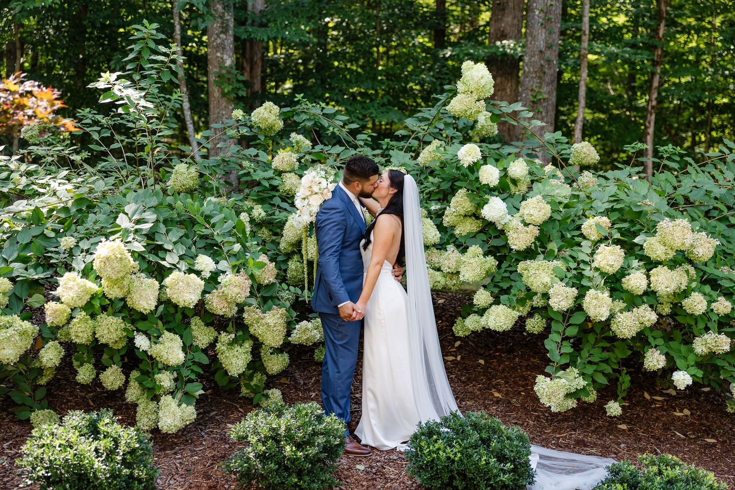 Bride and groom kissing surrounded by lush white hydrangea bushes in a romantic garden wedding setting.