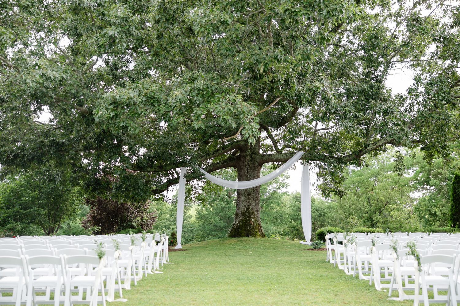 Outdoor wedding ceremony setup with white chairs lining a grassy aisle under a large tree draped with white fabric.