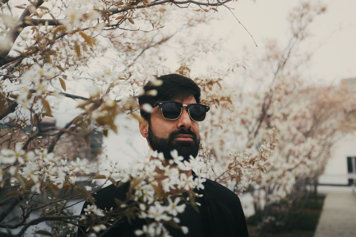 Bearded man in black cap and sunglasses standing among blooming white spring trees outdoors.