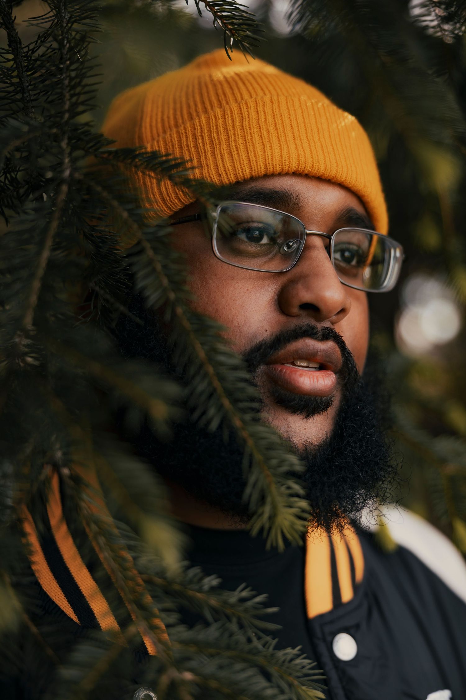 Man with beard, glasses, and yellow beanie hat posing among green pine tree branches outdoors.