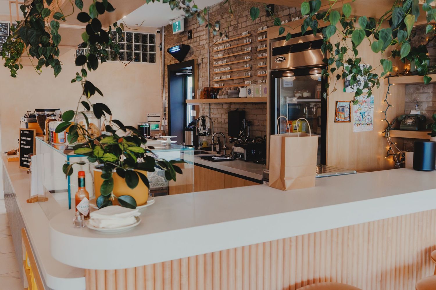 Bright cafe counter with white fluted base, potted plants, and brick wall coffee station.