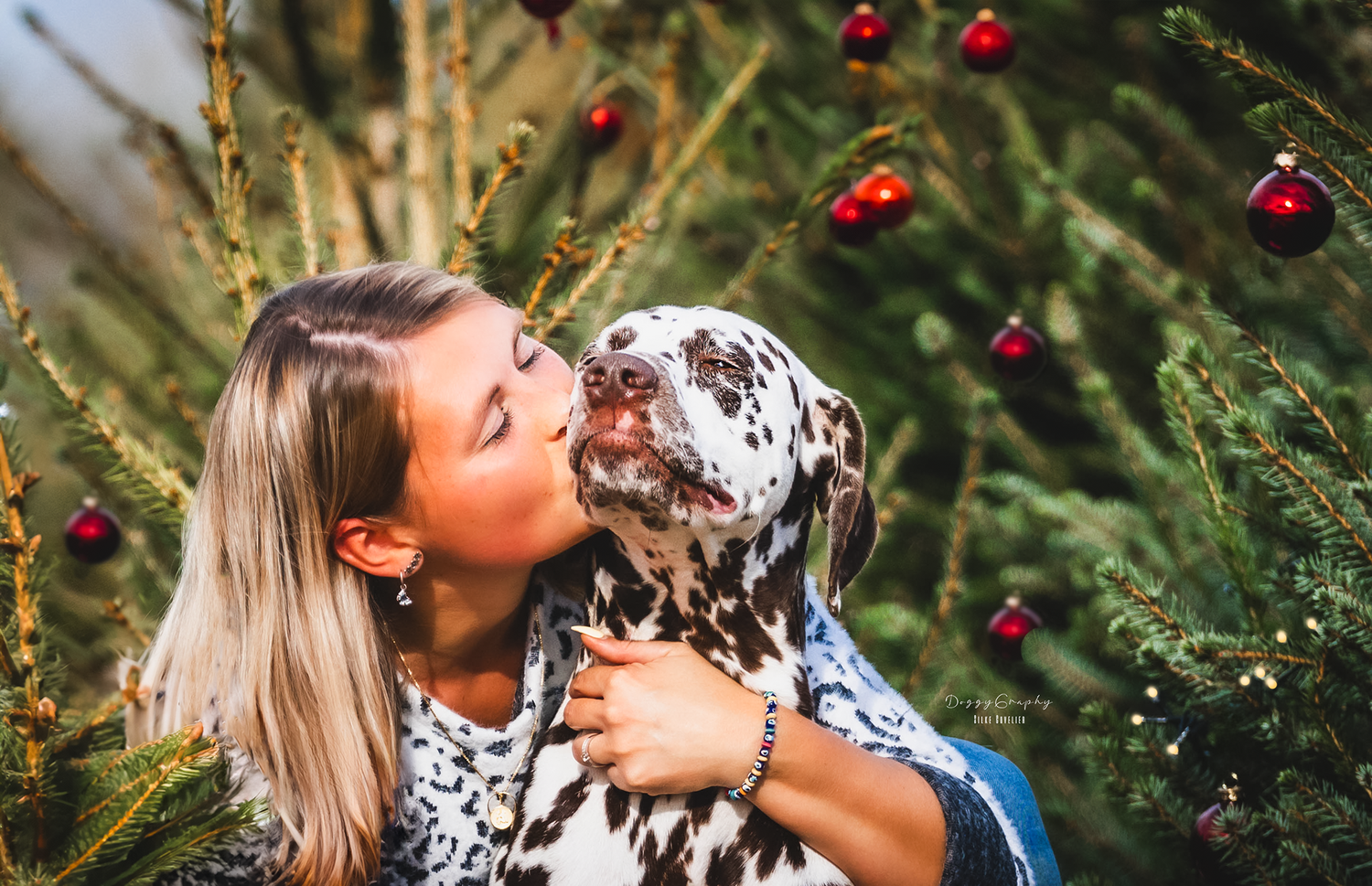 Blonde woman affectionately kisses her spotted Dalmatian dog near Christmas tree with red ornaments.