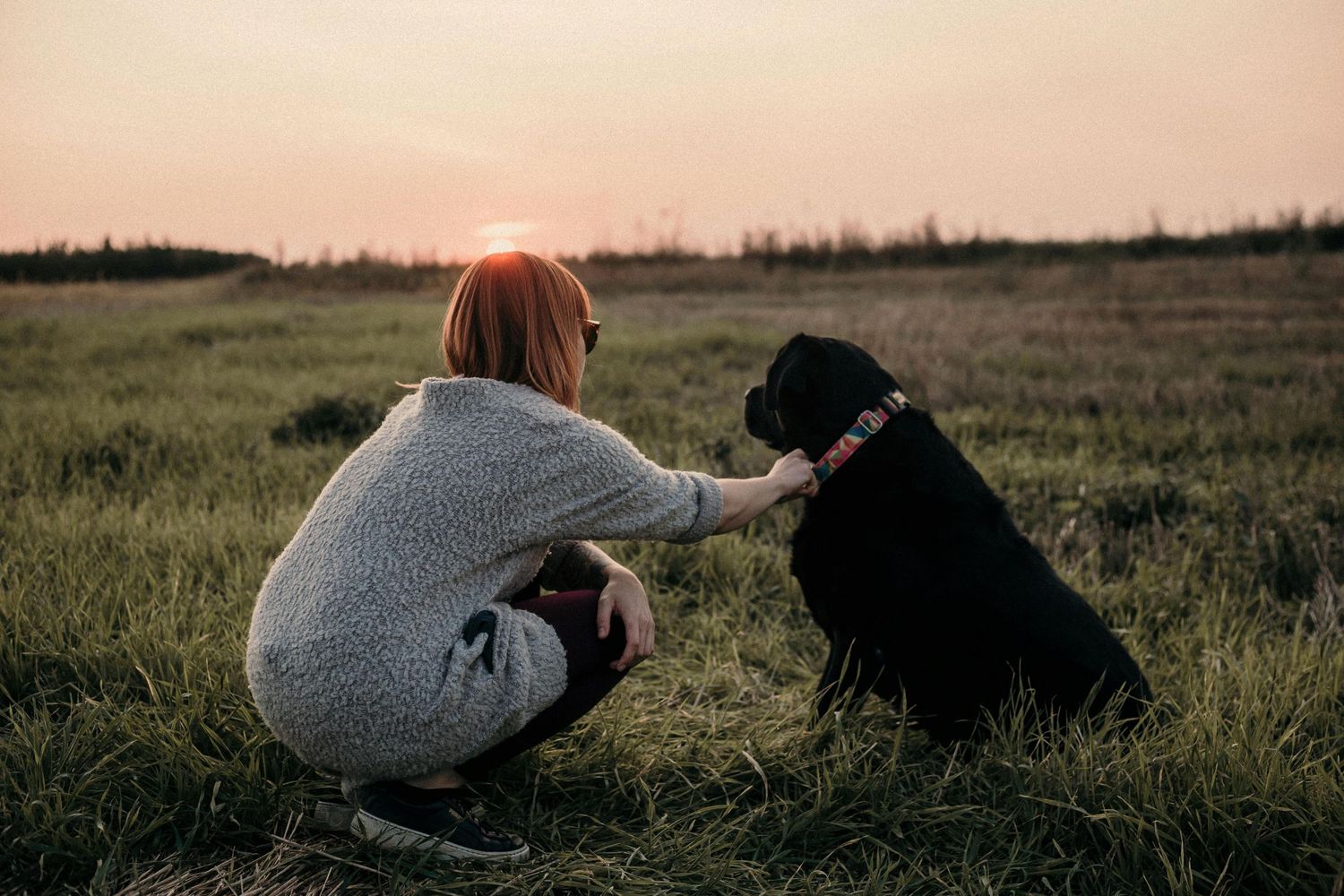 Dog and owner at a park sharing a moment during golden hour posing for a beautiful photo session