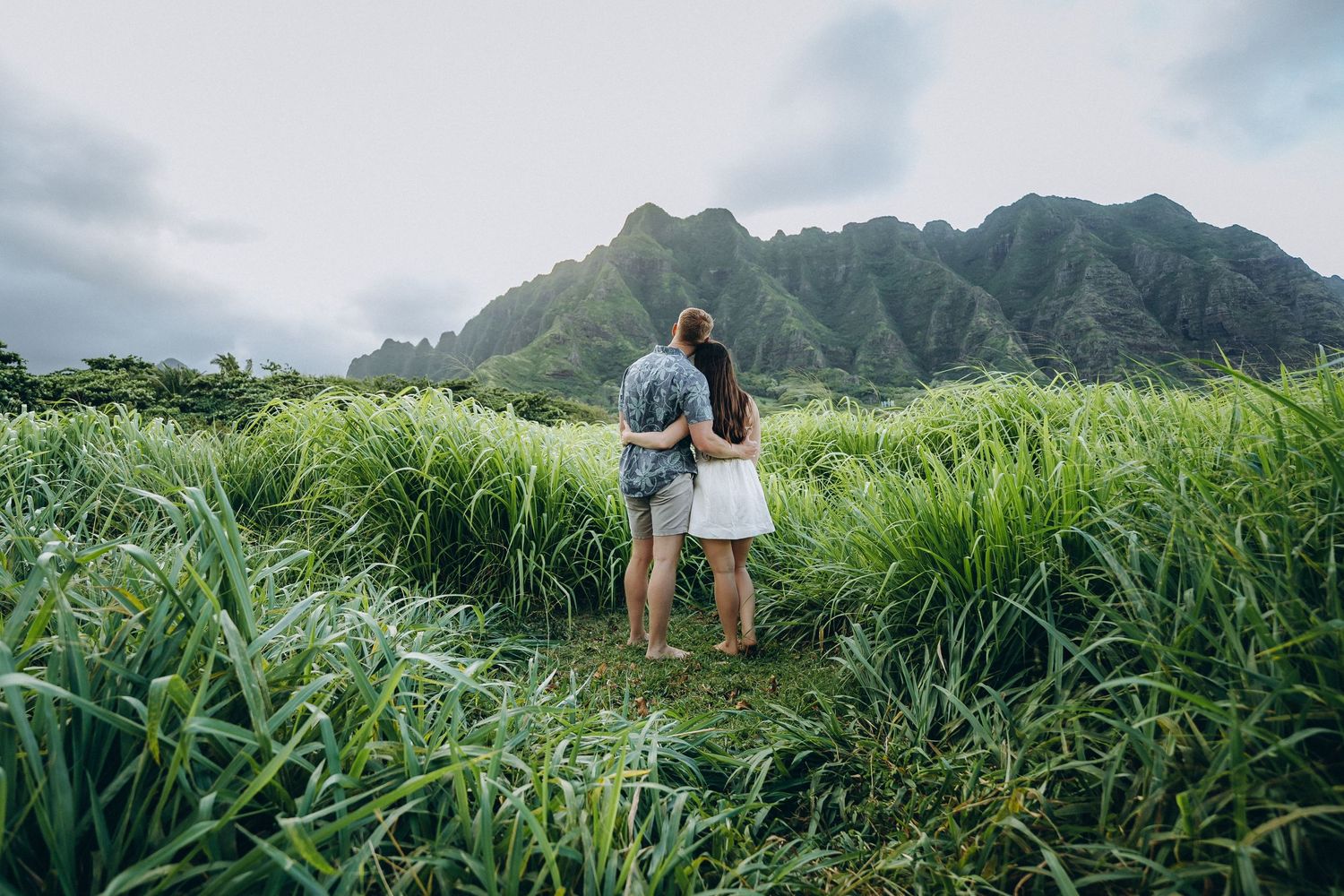 Couple embracing in tall green grass with the Koʻolau mountains behind, Kualoa Ranch Oahu couples photographer