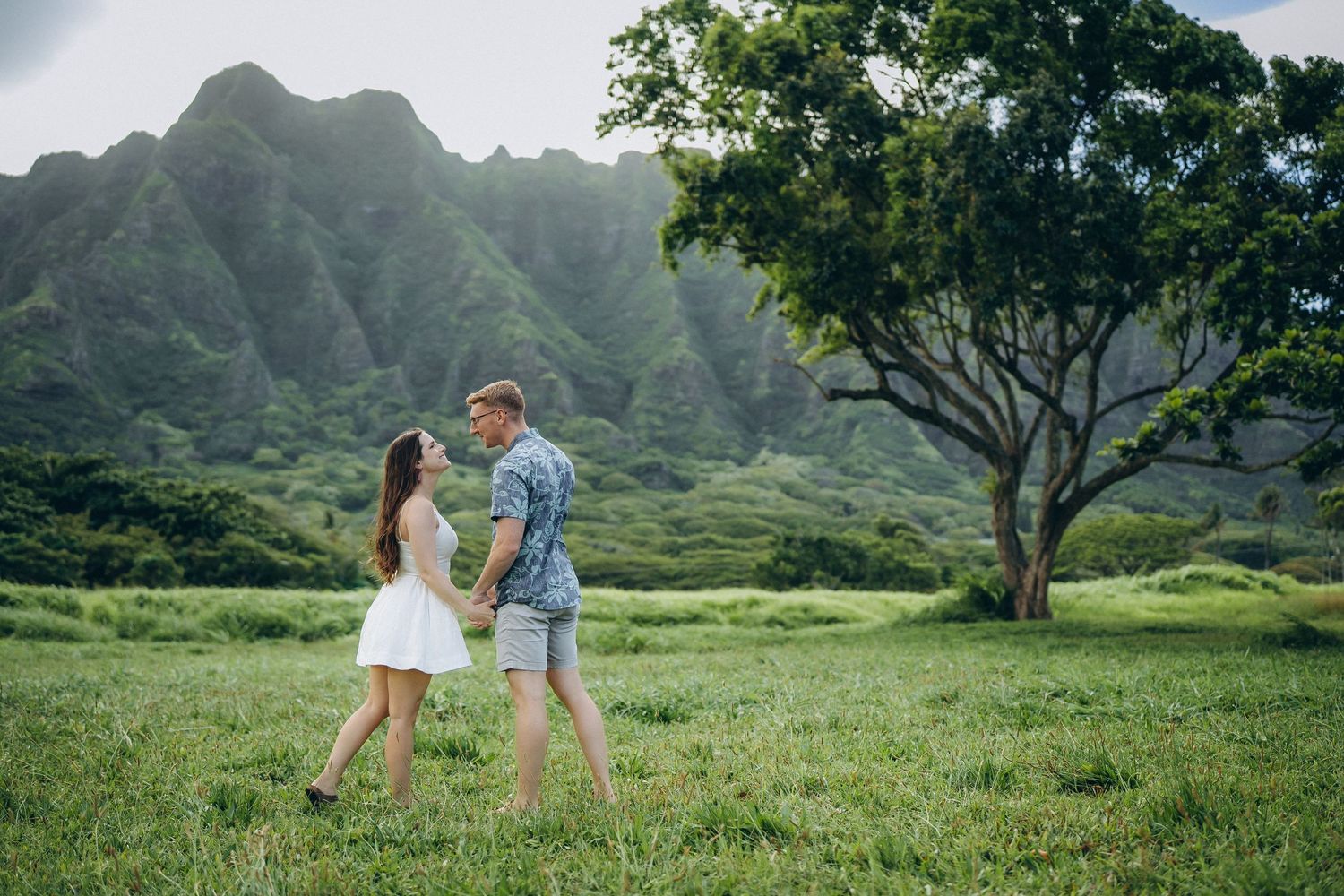 Couple holding hands in a green meadow beside a large tree, Koʻolau mountains, Kualoa Ranch Oahu couples photographer