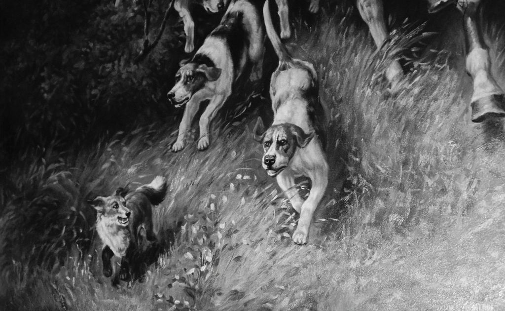 Pack of dogs running down a steep grassy hillside in black and white photography.