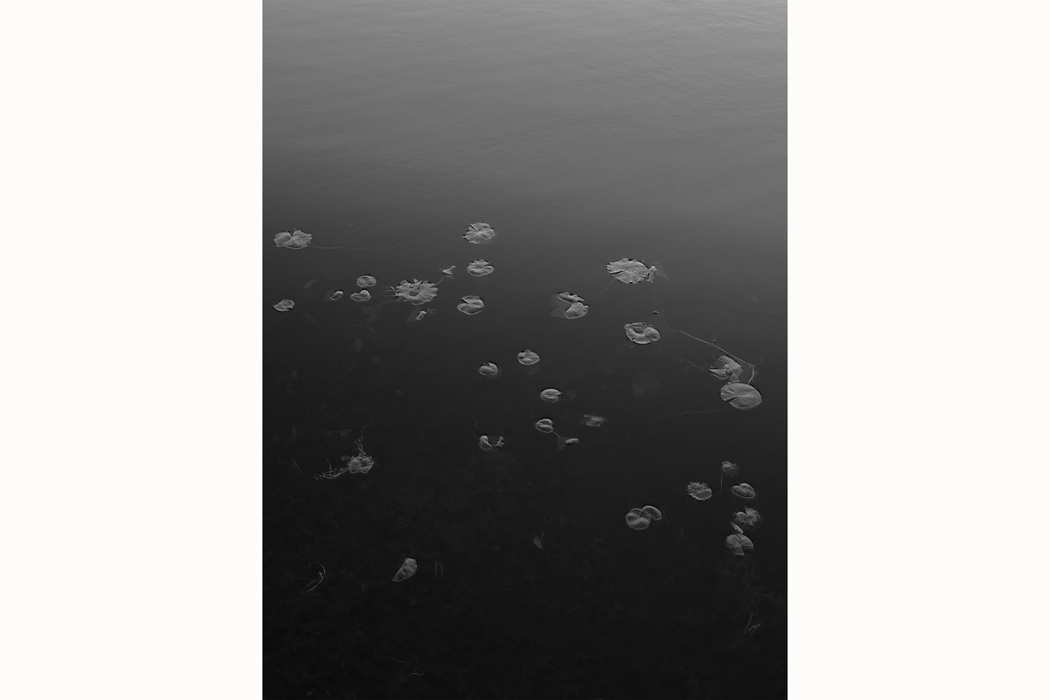 Aerial black and white view of scattered clouds floating over dark water creating a dreamy pattern.