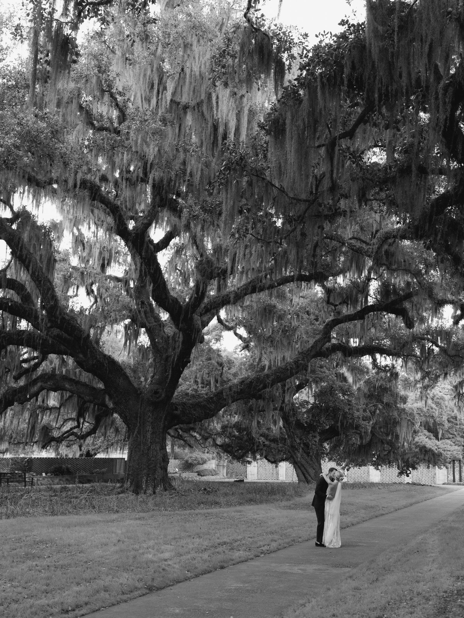 Black and white photo of a couple embracing under a massive live oak tree draped with Spanish moss.