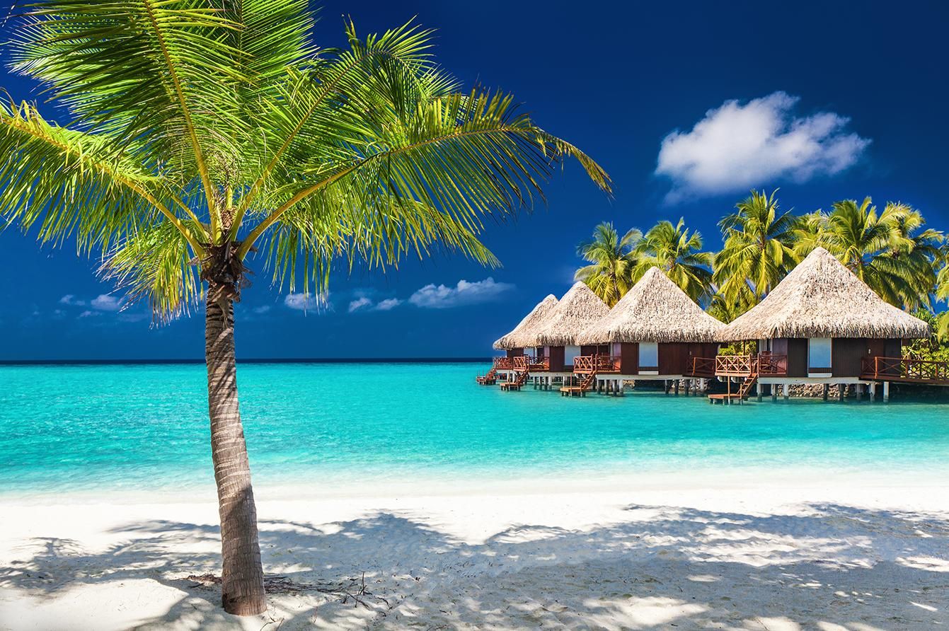 Tropical beach paradise with crystal-clear turquoise water, white sand, palm trees, and overwater bungalows under a blue sky.