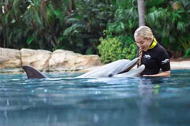 A blonde trainer in a wetsuit interacts with a dolphin in a pool surrounded by tropical greenery.