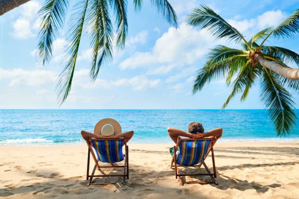 Two people relaxing in beach chairs under palm trees on a sunny tropical beach with turquoise ocean views.